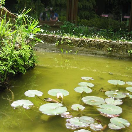 Hotel Chiar Di Luna Laino Borgo ภายนอก รูปภาพ