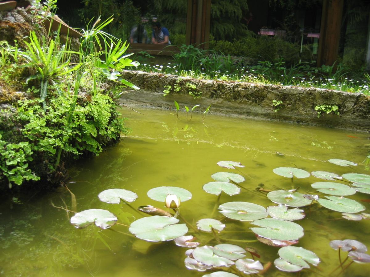 Hotel Chiar Di Luna Laino Borgo ภายนอก รูปภาพ